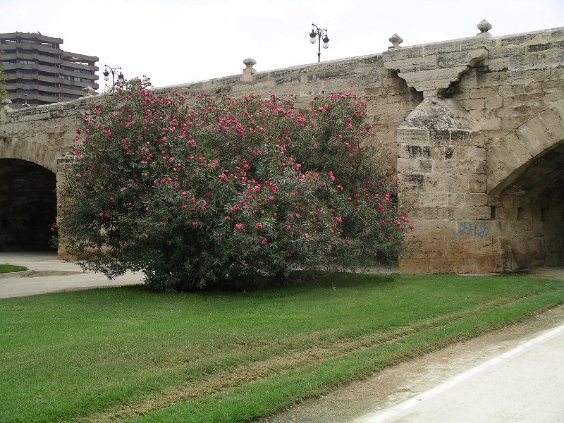 Spanje 2010 129.JPG